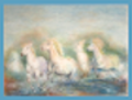thumbnail Galloping Camargue Horses
